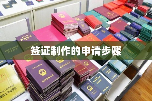 新会签证制作的申请步骤
